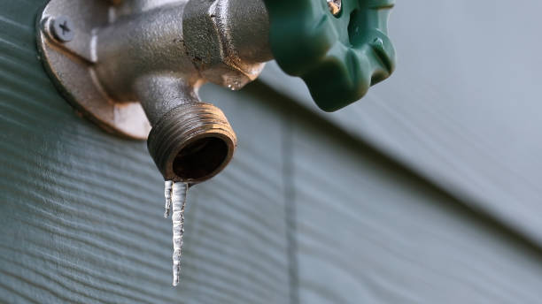 Best Sewer Line Repair  in White Hall, WV